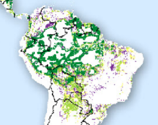 Forest Carbon Index