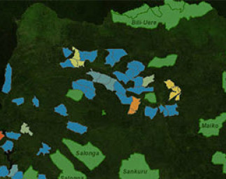 Increasing Forest Transparency in the Congo Basin