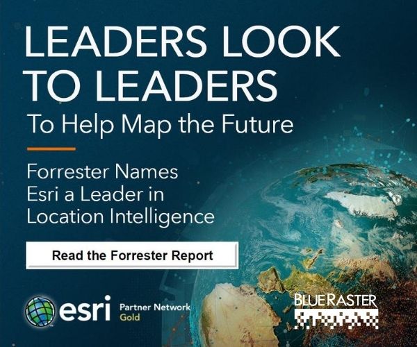 Forrester Report