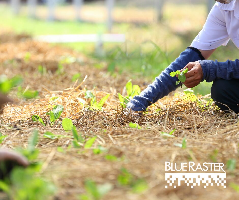 Mapping Food Security: Blue Raster and ICF International